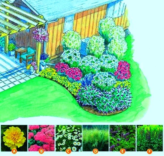 Схемы цветников и клумб на даче