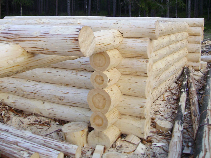 Импрегнированная древесина