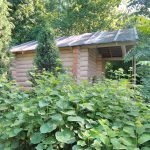 Баня по черному из осины