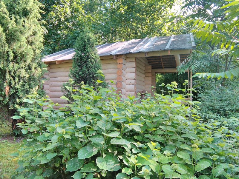 Баня по черному из осины